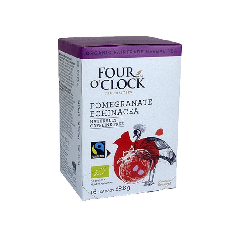 Four O' Clock, Pomegranate Echinacea