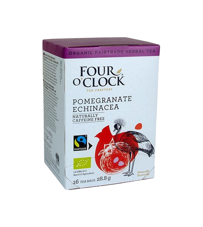 Four O’Clock Pomegranate Echinacea