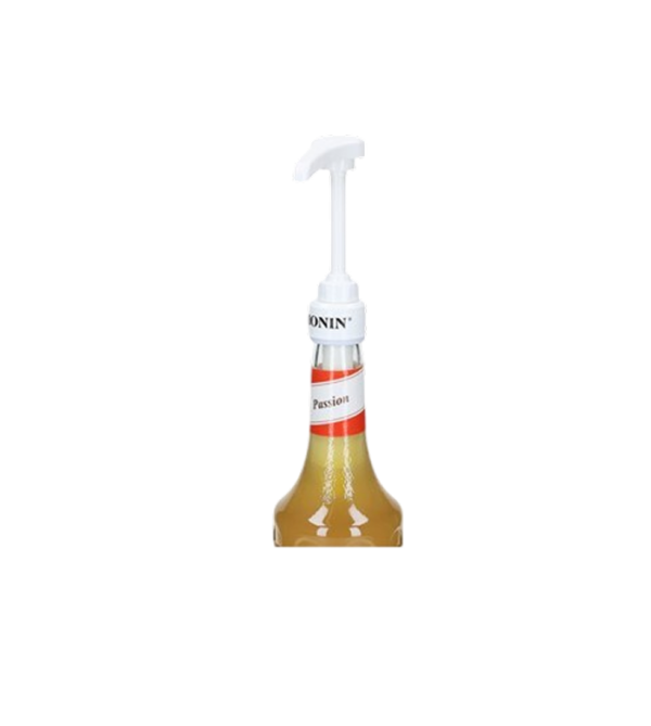 Monin Pump